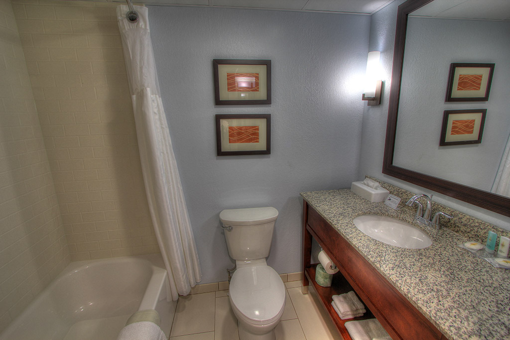 Comfort Inn Apple Valley Standard Bathroom